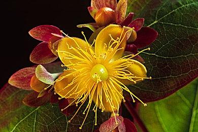 《索尼克×夏特 世代重启》上市预告片展示双重冲突